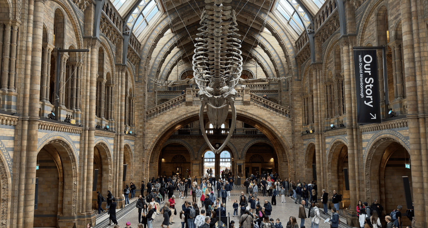 The Best Museums in London: Which Ones are Worth Visiting?